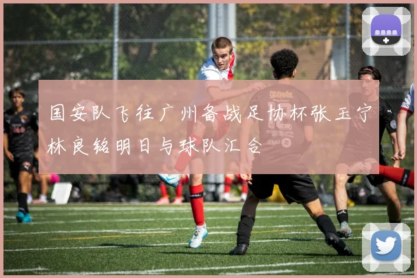 国安队飞往广州备战足协杯张玉宁林良铭明日与球队汇合
